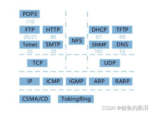軟考中級(jí)軟件設(shè)計(jì)師知識(shí)點(diǎn)匯總 計(jì)算機(jī)軟件技術(shù)與網(wǎng)絡(luò)技術(shù)