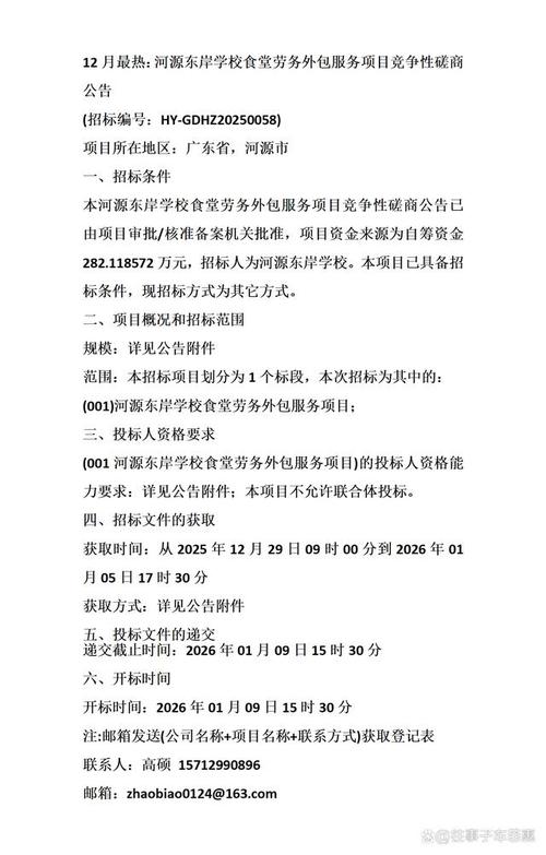 12月最熱:河源東岸學校食堂勞務外包服務項目競爭性磋商公告
